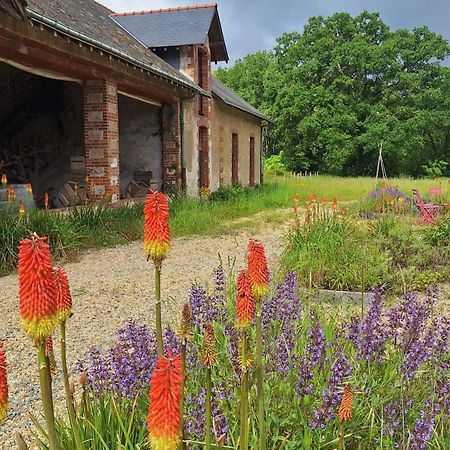 Ecolodges De Loire & Spa Gennes-Val-de-Loire Экстерьер фото