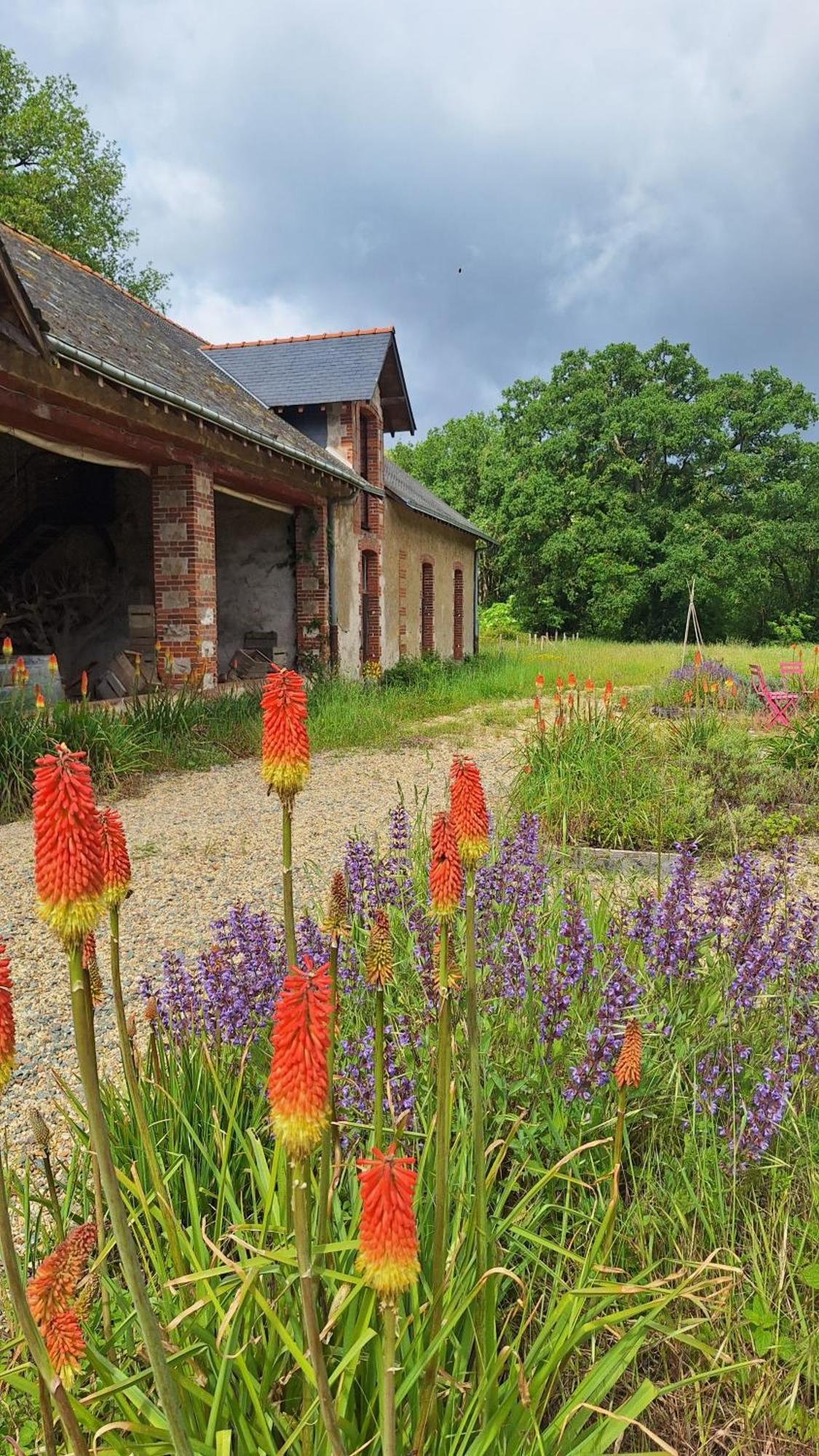 Ecolodges De Loire & Spa Gennes-Val-de-Loire Экстерьер фото